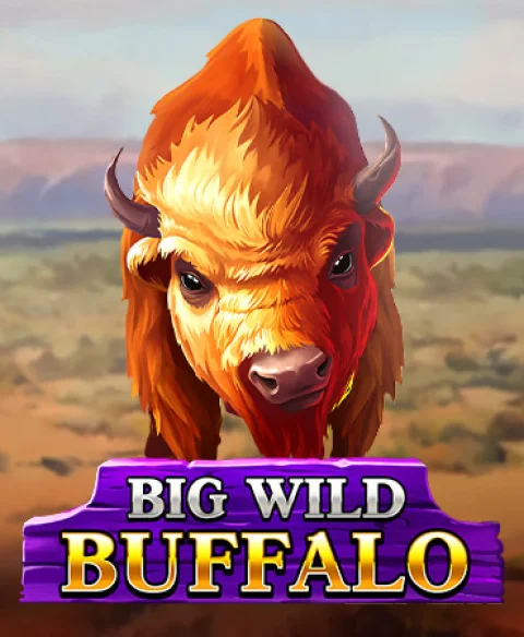 Play Big Wild Buffalo at Klirr Casino